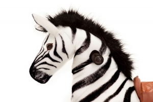 Animal Riding Zebra Marthi klein