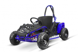 Kinderbuggy 1000W Eco Buggy GoKid 6 Zoll 48V Offroad