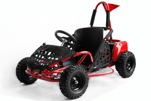 Kinderbuggy 1000W Eco Buggy GoKid 6 Zoll 48V Offroad