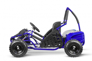 Kinderbuggy 1000W Eco Buggy GoKid 6 Zoll 48V Offroad