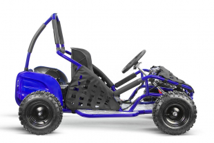 Kinderbuggy 1000W Eco Buggy GoKid 6 Zoll 48V Offroad