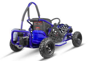 Kinderbuggy 1000W Eco Buggy GoKid 6 Zoll 48V Offroad