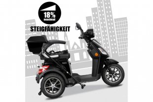 Rolektro, E-Trike 25 V.2, Schwarz, Bleigel Akkus, 1000 Watt