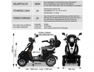 Rolektro E-Quad 25 V.3 Lithium Schwarz, 1000 Watt, 25 km/h