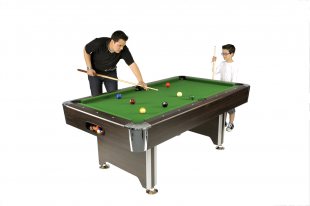 Winsport Billard Sedona