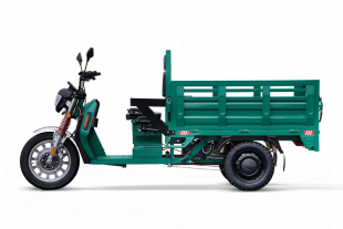 EEC Elektroauto Geco Moto Truck Pickup Pritsche, Elektro-Lieferfahrzeug