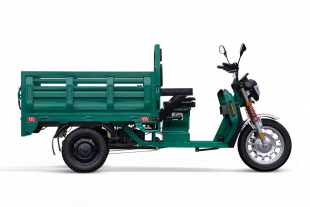 EEC Elektroauto Geco Moto Truck Pickup Pritsche, Elektro-Lieferfahrzeug