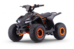 NITRO MOTORS 125cc midi Kinder Quad Cooba RG-7 PRM 6 zoll