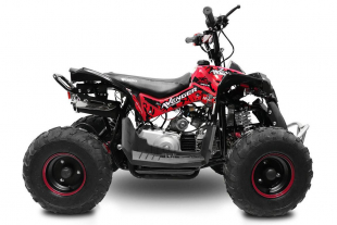 NITRO MOTORS 125cc midi Kinder Quad Avenger RG6-A PRM