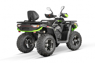 NITRO MOTORS 300cc maxi Kinder Quad Tricia 80km/h EEC Platin