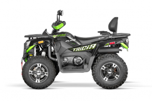 NITRO MOTORS 300cc maxi Kinder Quad Tricia 80km/h EEC Platin