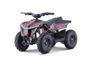 Nitro Motors E-QUAD Anaconda VX 1000W 36V12Ah Lithium